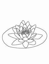 Coloring Lilies Nenufares Seerose Ausmalbild 1malaysia Malvorlagen Bernama sketch template