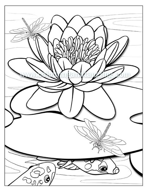 whats   june pack sneak preview unicorn coloring pages koi