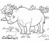 Rhino Rhinoceros Animal Coloringpagesfortoddlers sketch template