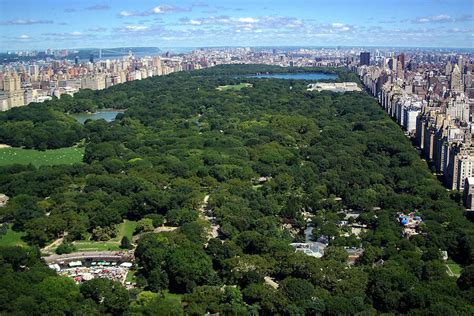 central park  discount  york city undercover tourist