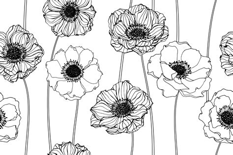 hand drawn anemone flowers  vector art  vecteezy