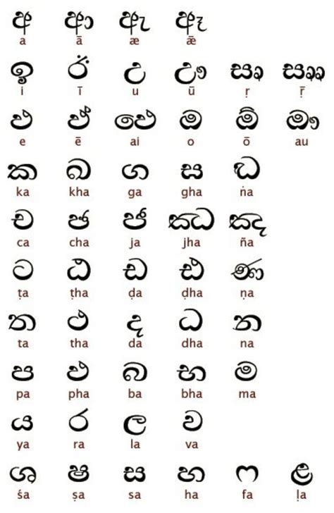 learn  speak basic sinhalese language  traveling  sri lanka