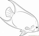 Mask Coloring Angelfish Yellow Fish Pages Printable Coloringpages101 Other sketch template