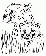 Coloring Cheetah Baby Pages Cute Print sketch template