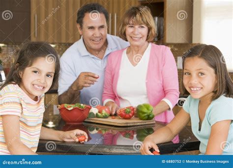 family preparing meal  stock photo image  american dinner