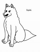 Coyote Insertion Codes sketch template