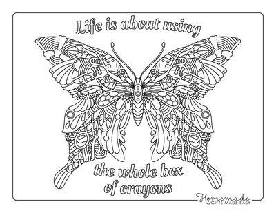 easy butterfly coloring pages  adults coloring pages easy