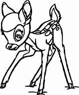 Coloring Bambi Pages Looking Down Wecoloringpage sketch template