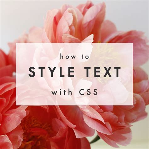 css basics styling  text  blog market