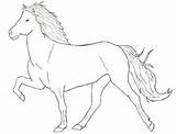 Horse Iceland Coloring Pages Icelandic Baby Deviantart Draw Horses Getcolorings Fascinating Visit Island Colouring Choose Board Print Hor sketch template