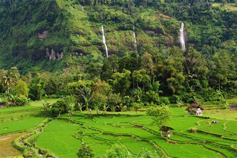 objek wisata alam persawahan padalarang cianjur bandung jawa barat
