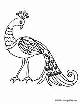 Peacock Colorear Pavo Dibujos Paon Hermoso Peafowl Resultado Línea Tulamama sketch template
