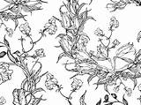 Vorlage Blumenmotive Mandala Herunterladen sketch template