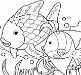 Fish Peces Para Colorear Coloring Coloringcrew Dibujo Imagenes Resultado Imagen Book sketch template