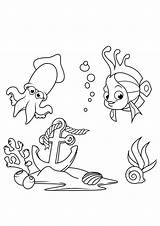 Colorear Disegno Mare Calamar Inktvis Kleurplaat Calamari Marino Squid Fondale Ancla Pesce Stampare Perdida Persa Pesci Tintenfisch Fisch Malvorlage Marini sketch template