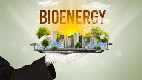bioenergy energy  biomass renewable energy sources res
