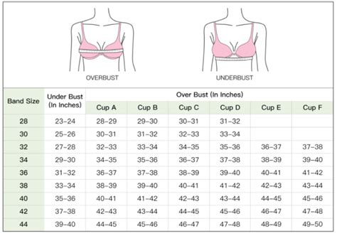 real silk life how to measure bra size