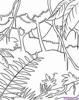 Jungle Coloring Pages Print Kids Draw Rainforest Safari Step sketch template
