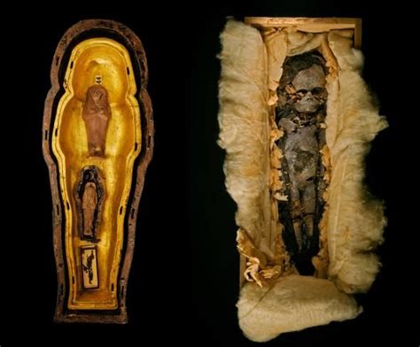 Photo Album King Tut Queen Nefertiti And One Tangled
