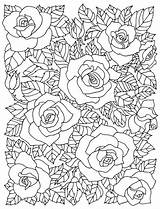 Sakura Getcolorings sketch template