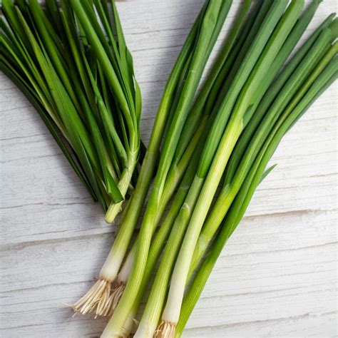 difference  chives  green onions hungry ginie