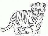 Tiger Coloring Outline Baby Drawing Face Printable Clipart Pages Sheet Book Popular Kiddies Zentangle Print Pdf Getdrawings Coloringhome Library Without sketch template