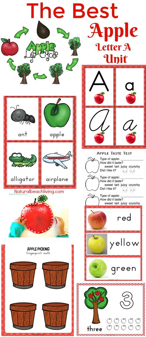 apple printables  preschool  printable templates