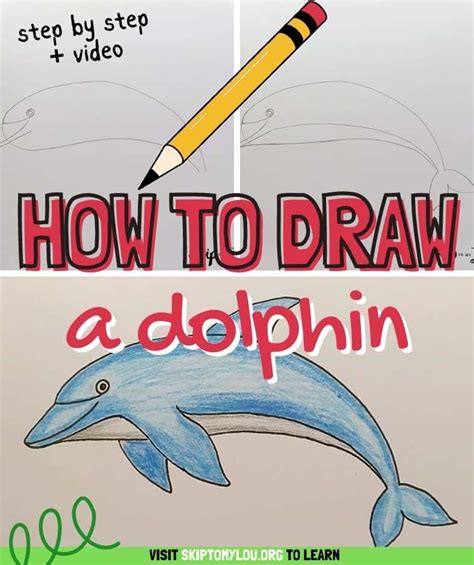 draw  dolphin  easy guide skip   lou