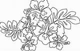 Coloring Hawaiian Flower Pages Lei Luau Printable Drawing Flowers Sheets Hawaii Color Print Getdrawings Blank Leaves Getcolorings Paintingvalley Drawings Popular sketch template