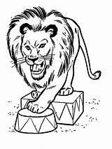 Lion Coloring Pages Coloringpages1001 Animal sketch template