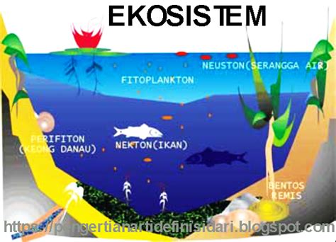 ekosistem  contohnya pengertian arti definisi