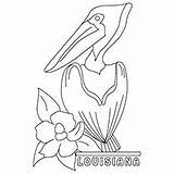 Coloring Pelican Pages Louisiana Brown Getcolorings State Getdrawings sketch template
