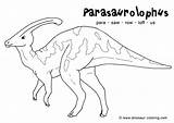 Coloring Dinosaur Parasaurolophus Outline Pages Drawing Pachycephalosaurus Color Printable Dinosaurs Drawings Designlooter Line Kids 8kb Paintingvalley sketch template