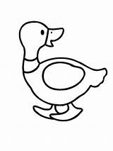 Duck Coloring Pages Printable Animals Mycoloring sketch template