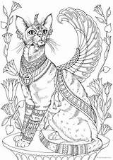 Cat Egyptian Coloring Pages Adult Favoreads Printable Adults Para Colouring Gatos Book Animal Cats Club Designs Dragon Gato Colorir Print sketch template