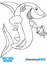 Shark Friend Coloring Kids Discovery sketch template
