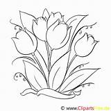 Ausmalbilder Malvorlage Tulpen Frisch Blumenzeichnung Erstaunlich Innen Vorlage Tulips Kinderbilder Malvorlagenkostenlos sketch template