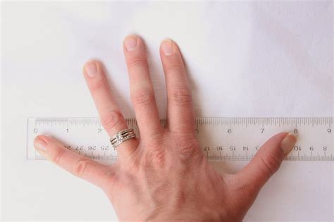 measure   hand bite  delight