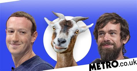 facebook boss mark zuckerberg killed a goat and served it to twitter