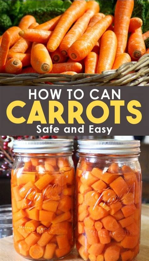 carrots easy raw pack method  pressure canning