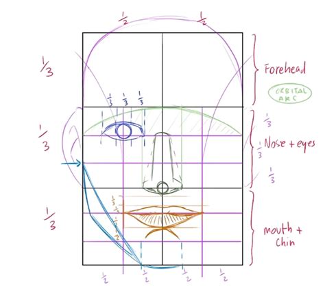 share  proportion sketch latest ineteachers