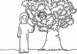 Coloring Zacchaeus Pages Jesus Saw Zaccheus Colouring Printable Clipart Clip Tree Library Luke Getdrawings Getcolorings Vbs Popular Color Zacheus Kids sketch template