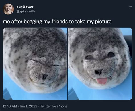 smiling  winking baby seal sticking  tongue  meme silly