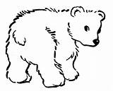 Mewarnai Beruang Anak Paud Tk Aneka Temukan Anda sketch template