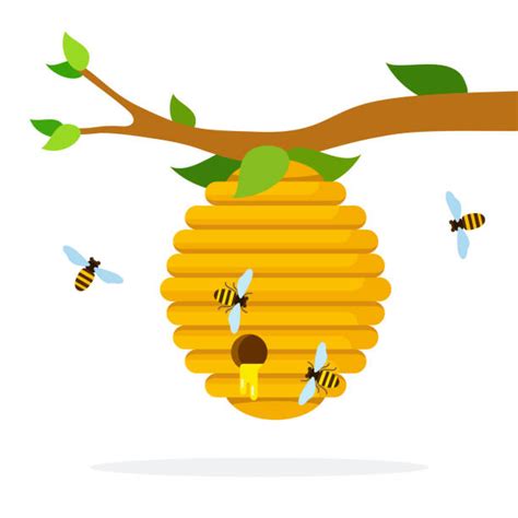 Tree With Beehive And Group Of Bees Illustrations Royalty Free Vector