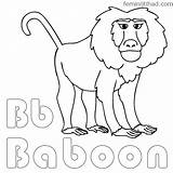 Baboon Coloringfolder sketch template