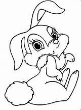 Bunny Coloring Pages Miss Thumper Rabbit Colouring Choose Board Printable Kids sketch template