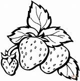 Fresas Para Colorear Dibujo Coloring Visitar Dibujos Strawberries Patrones Tela Imprimir Frutas sketch template