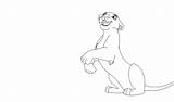 Lineart Lioness Lion Tlk sketch template
