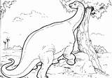 Coloring Brontosaurus Dinosaur Pages Popular Rocks Sheet Coloringhome sketch template